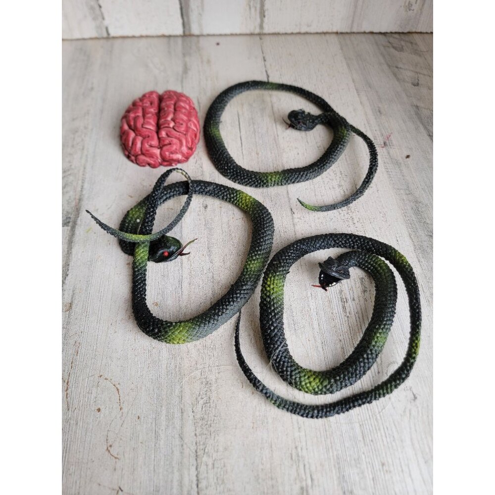 Scary‎ rubber snake brain Halloween prop decor set spooky